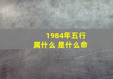 1984年五行属什么 是什么命